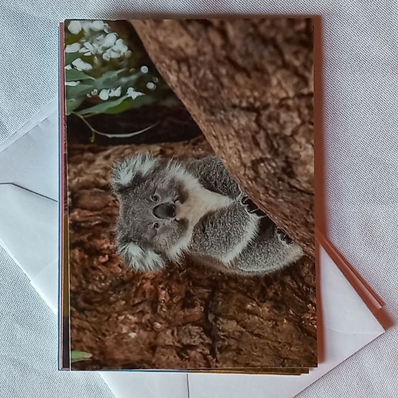 🅓🅞🅝🅐🅣🅔🅓! - Picture 3 of 7